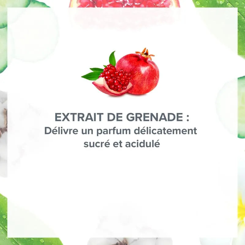 4er-Pack 24H Deodorant Belebender Granatapfel